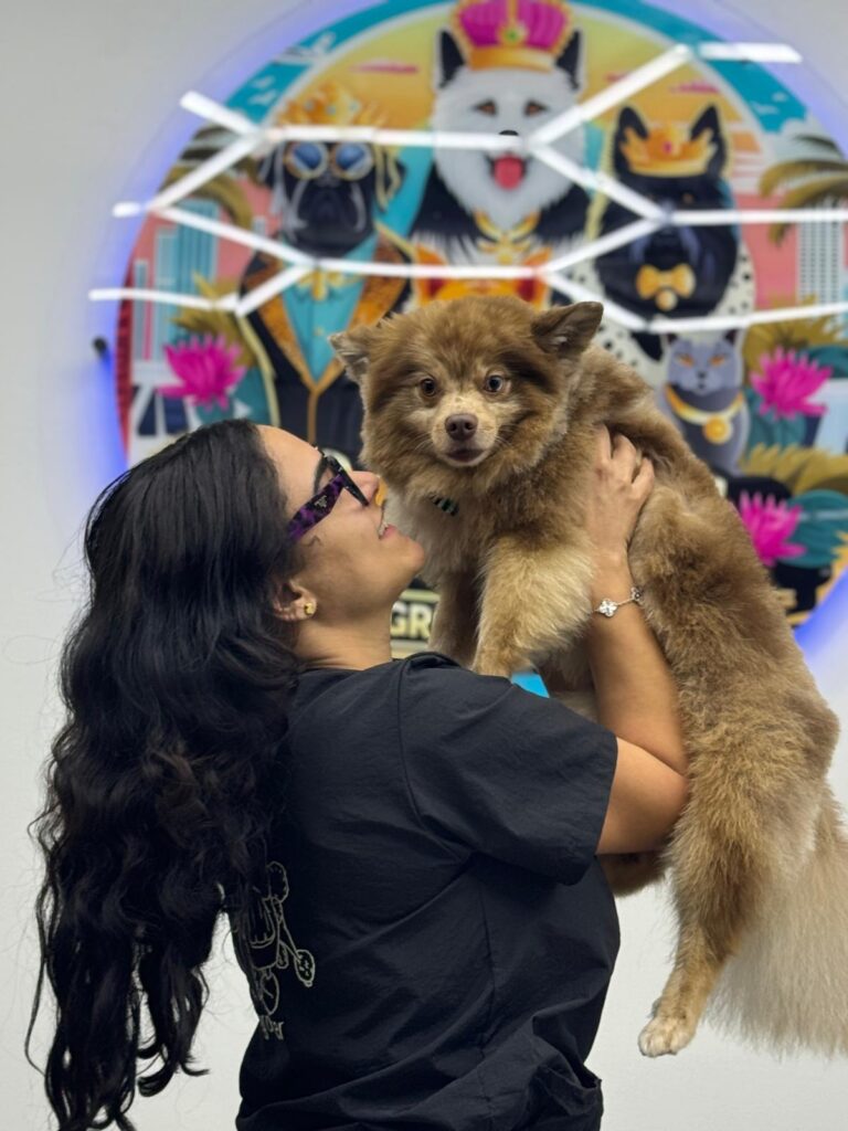 Boujee Mobile Pet Grooming Miami