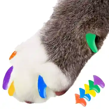 mobile grooming van Miami