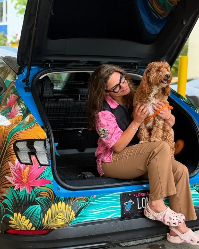 Boujee Mobile Pet Grooming Miami Springs pet grooming services