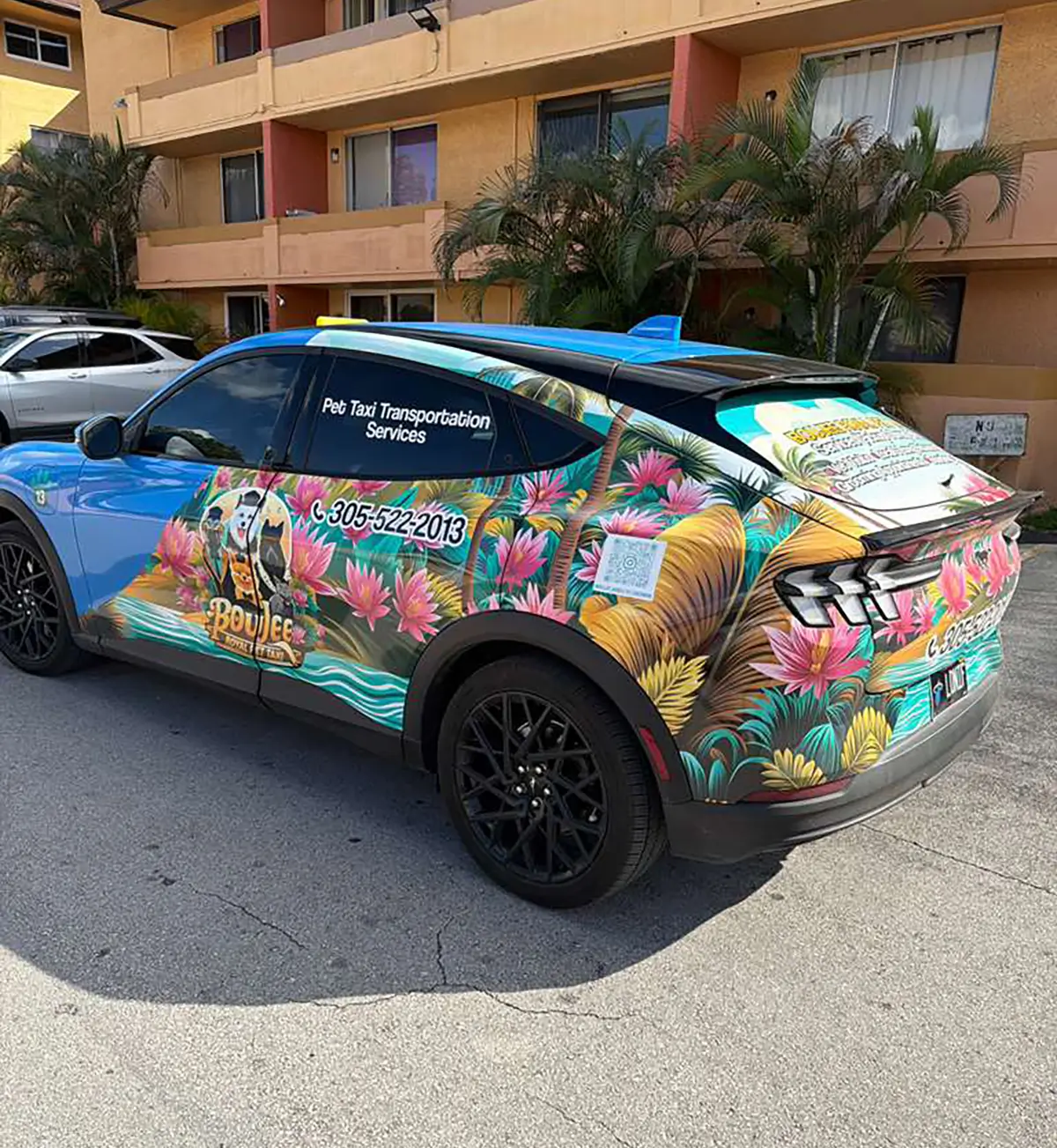 WhatsApp Image 2026 02 12 at 5.45.08 PM