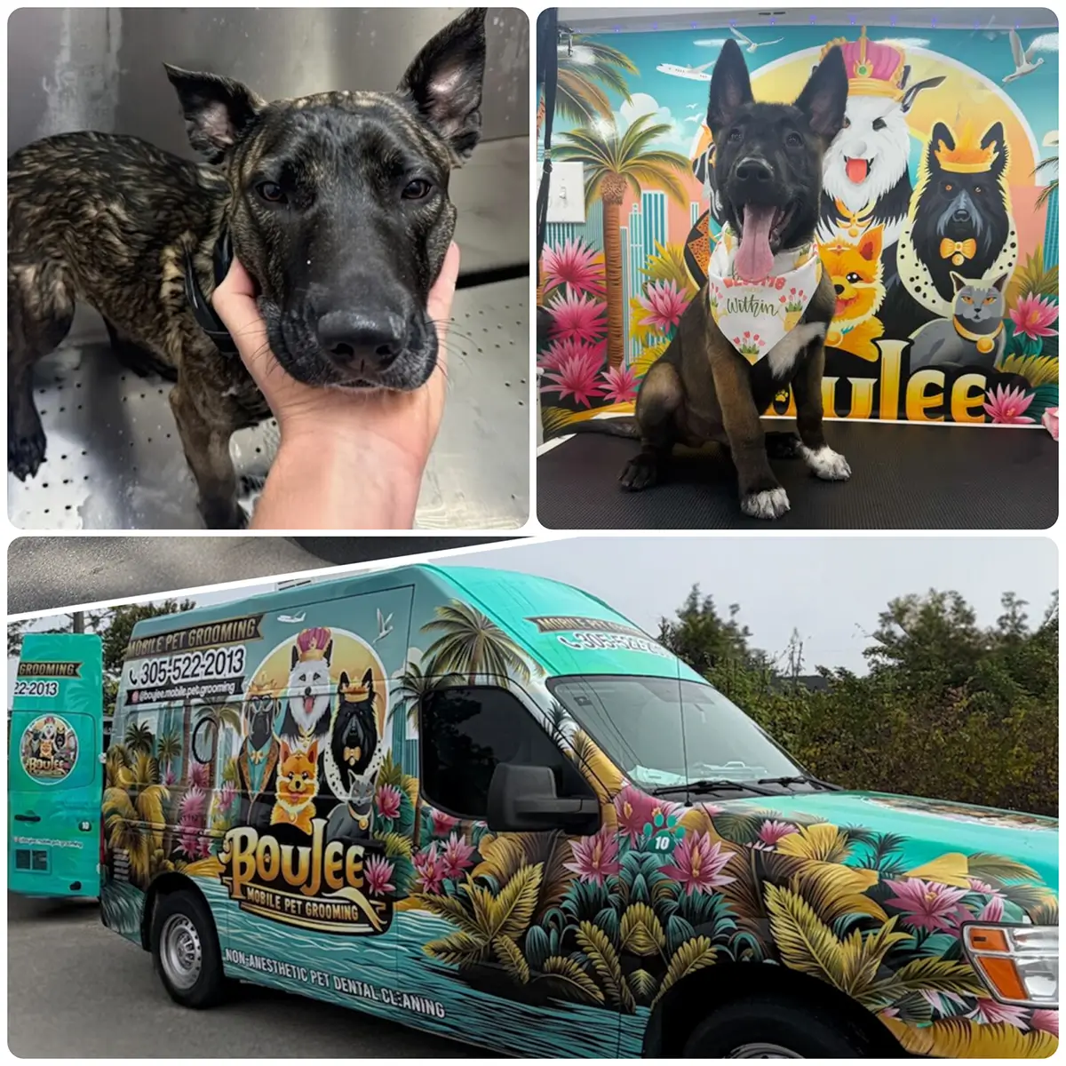 Mobile Pet Grooming in Broward County, FL
