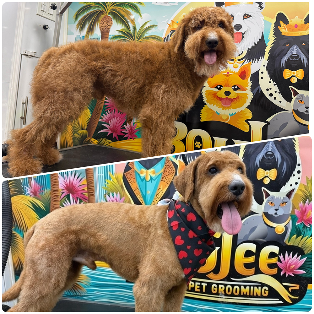 Mobile Pet Grooming in Pembroke Pines, FL